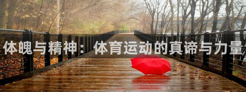 体魄与精神：体育运动的真谛与力量