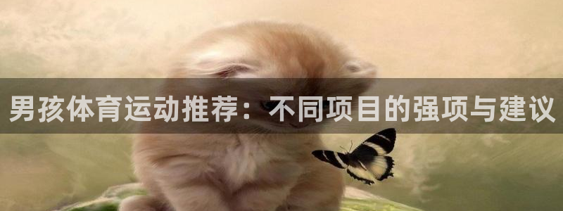 男孩体育运动推荐：不同项目的强项与建议