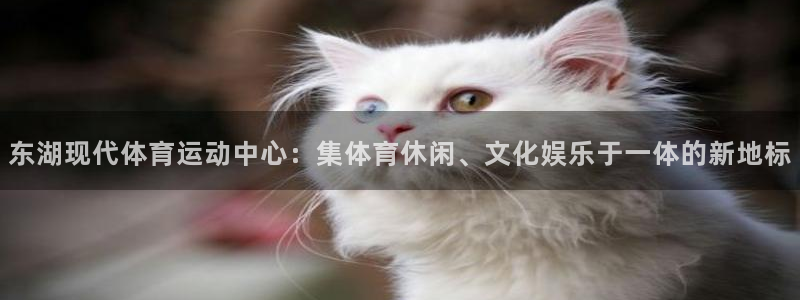 东湖现代体育运动中心：集体育休闲、文化娱乐于一体的新地标