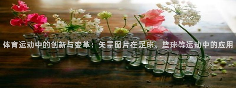 体育运动中的创新与变革：矢量图片在足球、篮球等运动中的应用