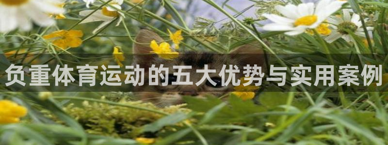 负重体育运动的五大优势与实用案例