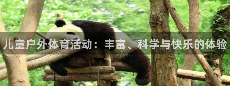 儿童户外体育活动：丰富、科学与快乐的体验