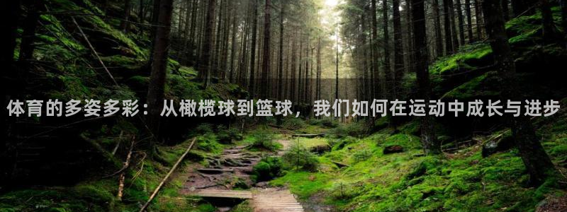 体育的多姿多彩：从橄榄球到篮球，我们如何在运动中成长与进步