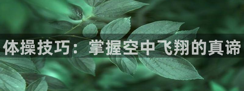 体操技巧：掌握空中飞翔的真谛
