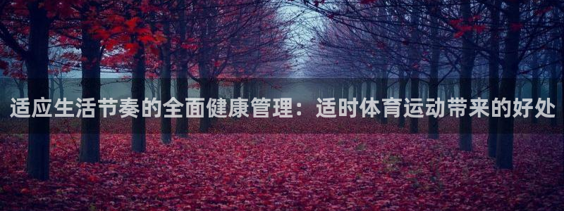 适应生活节奏的全面健康管理：适时体育运动带来的好处