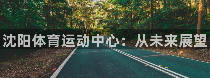 沈阳体育运动中心：从未来展望